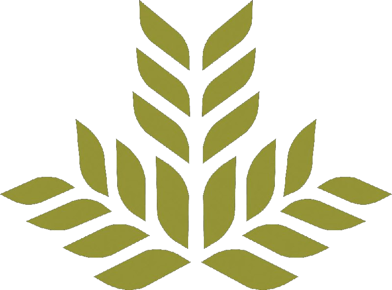 NGHS (Northeast Georgia Health System) logo